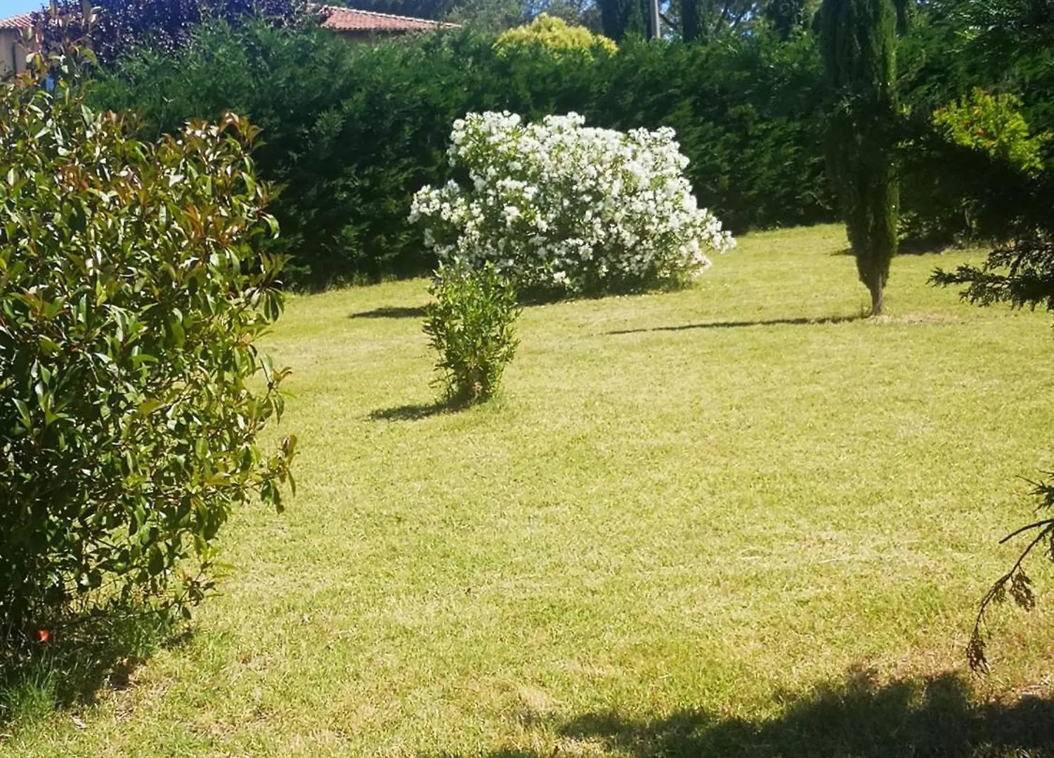 Podere Simonetta - A7 Cecina