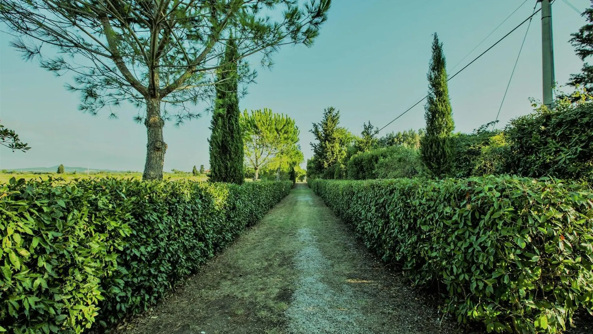 Holiday home Podere Simonetta - A7 Cecina